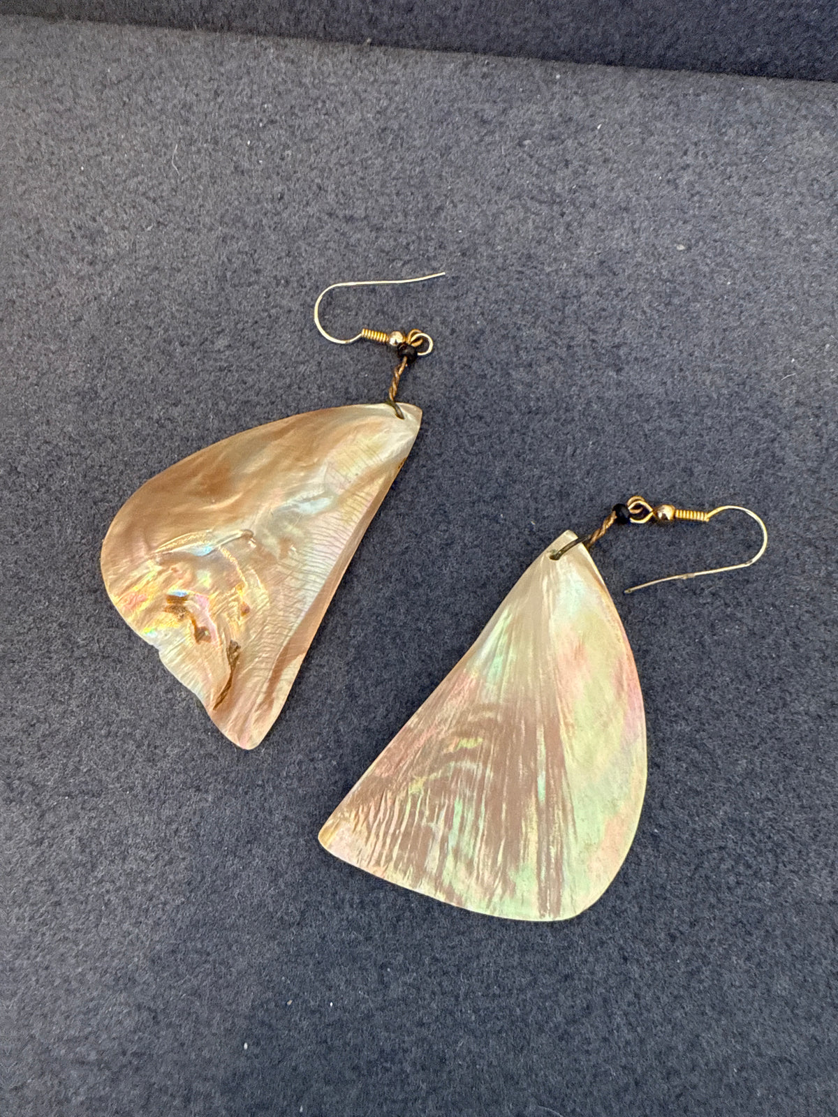Shell Hanging Earrings