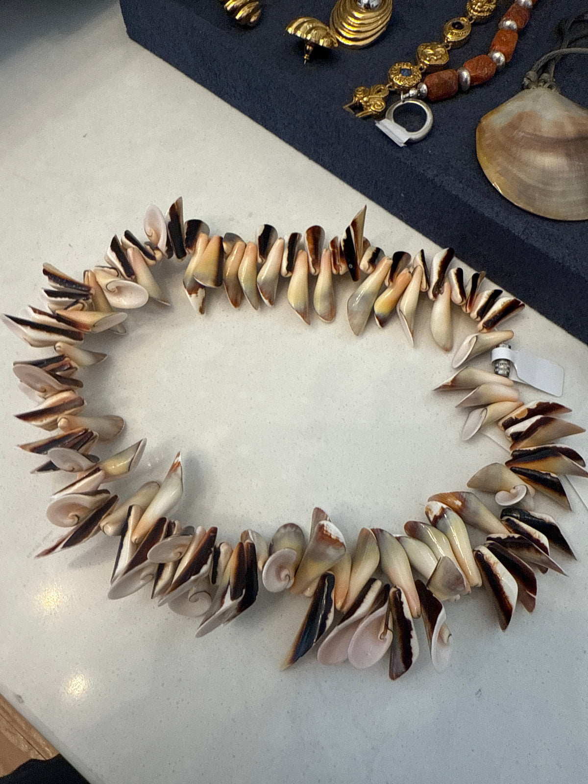 Chunky Shell Necklace